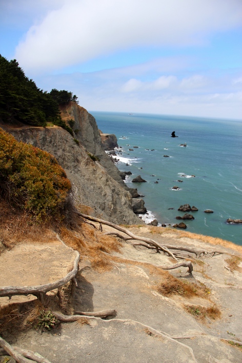 ���-���������